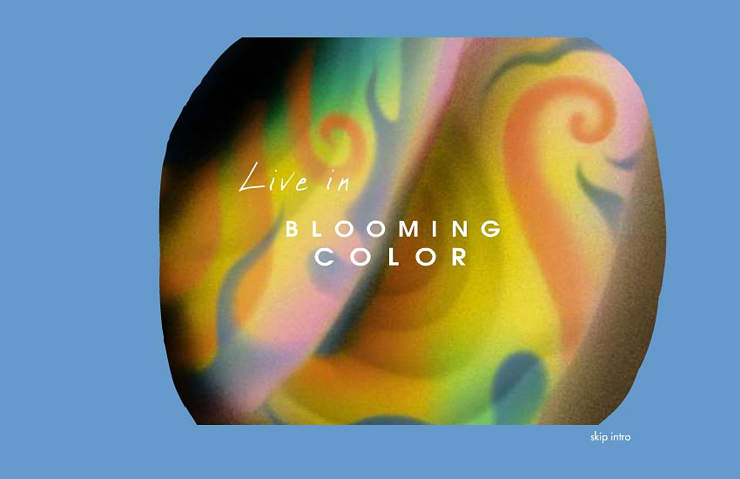 Blooming Color, Inc.
